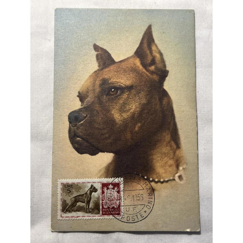 1950s Vintage Boxer Dog Breed Postcard San Marino Italy 5 Lire Stamp Postmarked
